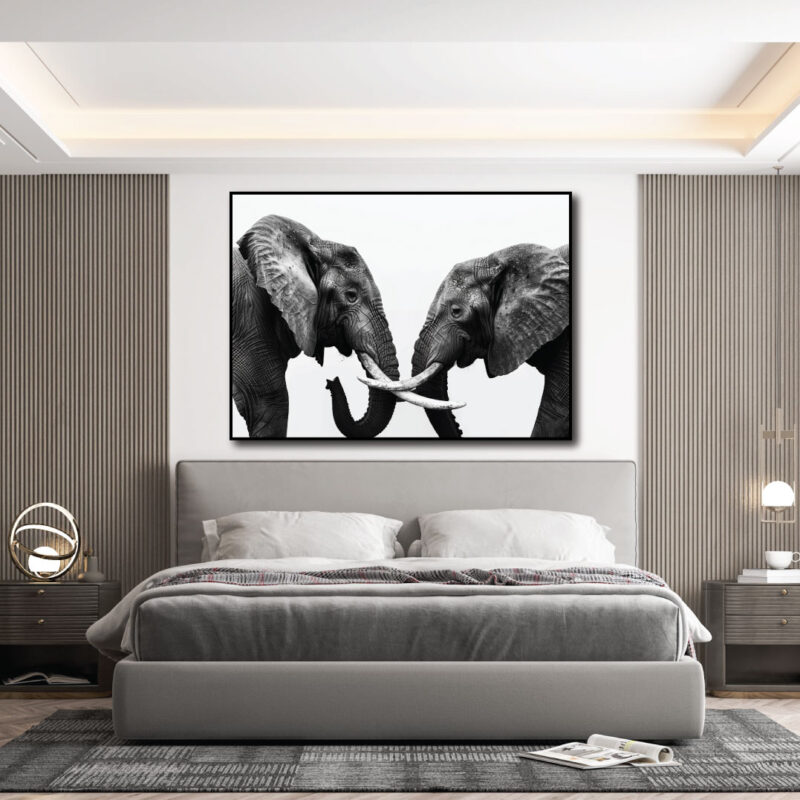 Elephant Love