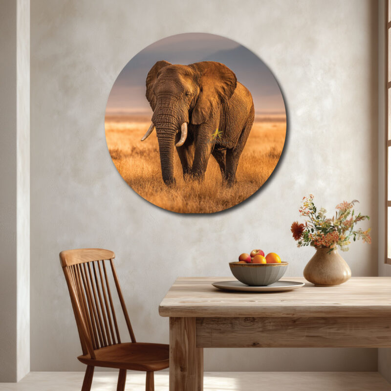Circle elephant art